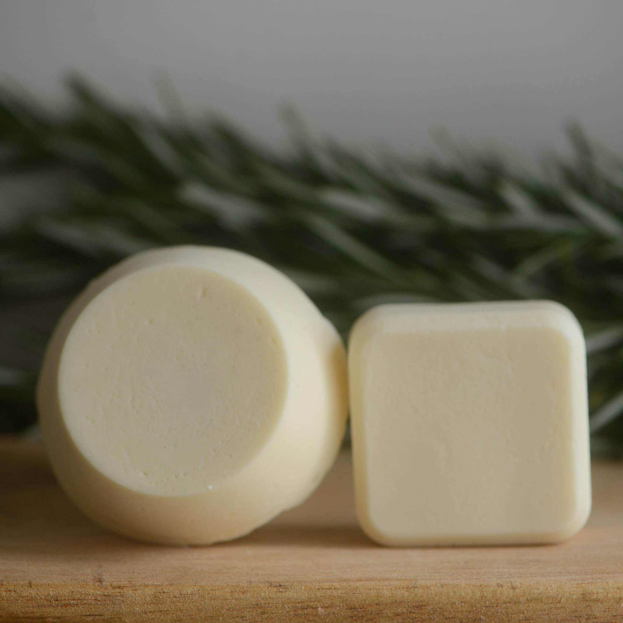 Argan Oil Solid Conditioner Bar -Normal/Oily Hair