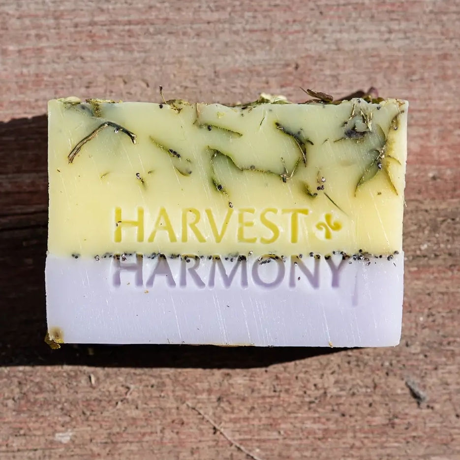 Harvest And Harmony Apple Cider