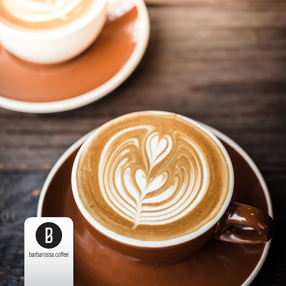 Miniatura: Caffè Moka "Magnifica"  100% Dolce e Profumato