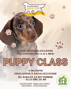 puppy class.png