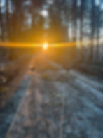 " Das Wandern ist des Künstler's Lust..."