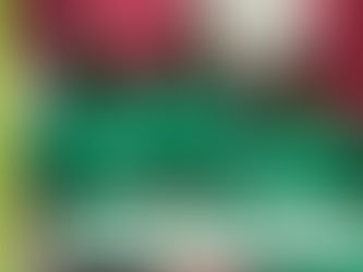 Terranovenses presentes na Feneart