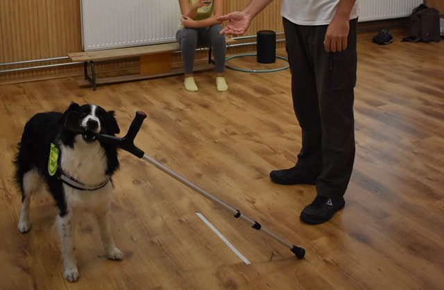 mankó_feladása_kutyabaj