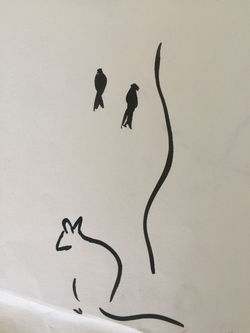 wallaby and currawong