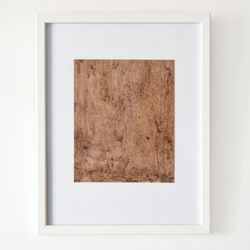 vermicompostografia II