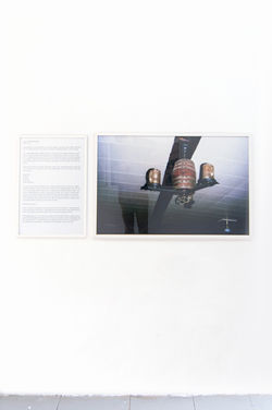 This Could Be the Place, 2016.