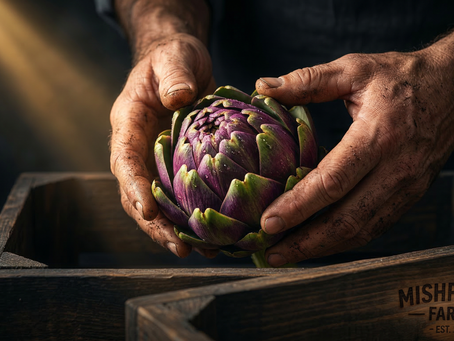 Close-up of Mishpacha Farms farmer packing freshly harvested, zero-synthetic heirloom produce into a branded wooden crate for direct farm-to-chef delivery.