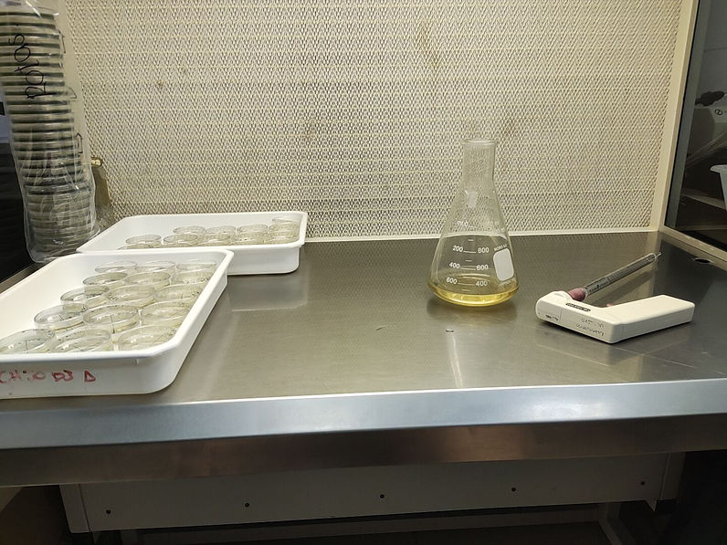 Cambio de extracto de suelo a las placas.jpg