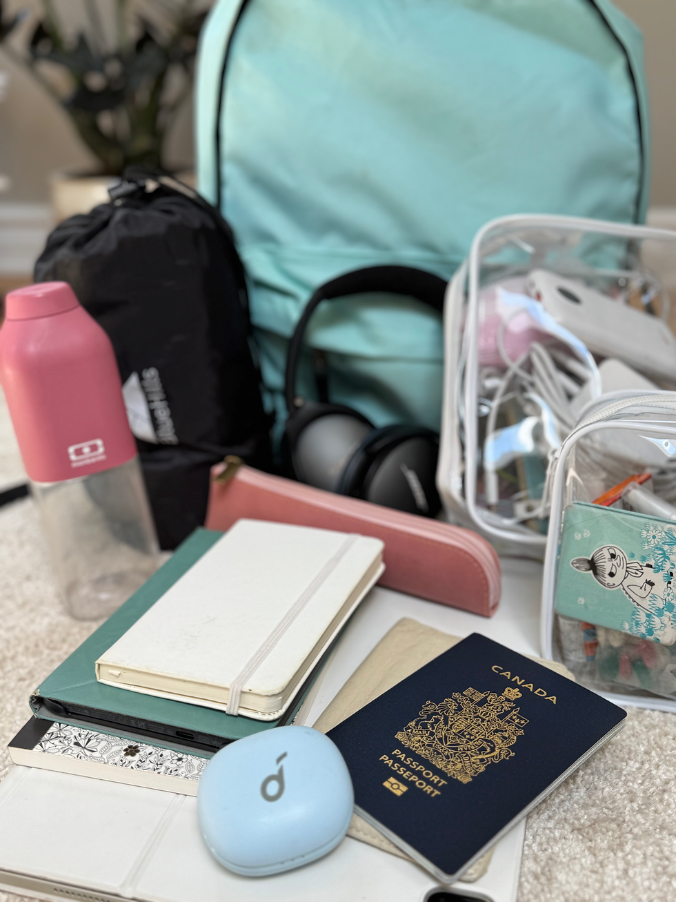 Contents of a blue back pack