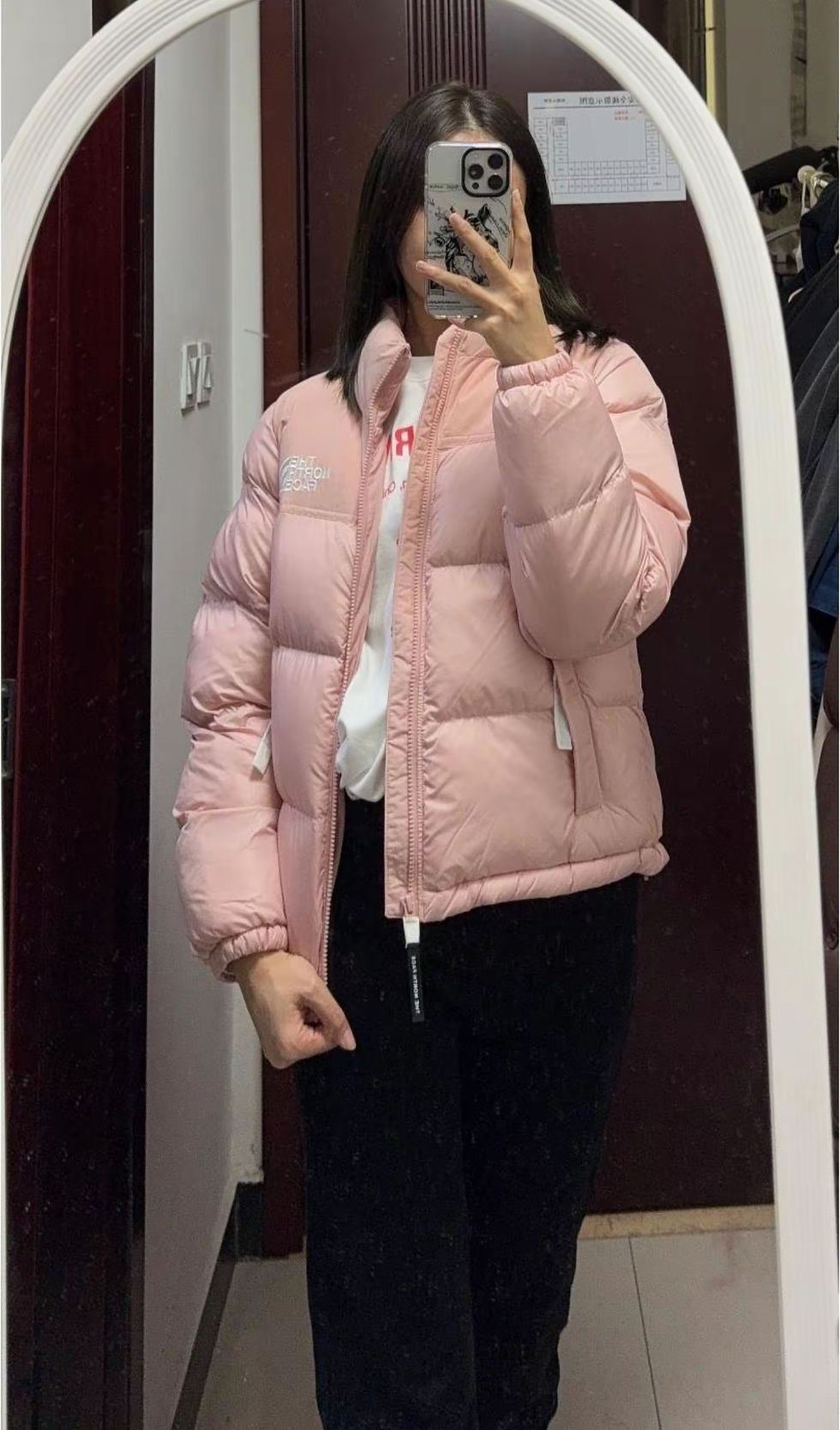 Hình thu nhỏ: The North Face FW23 Nuptse On Ball
