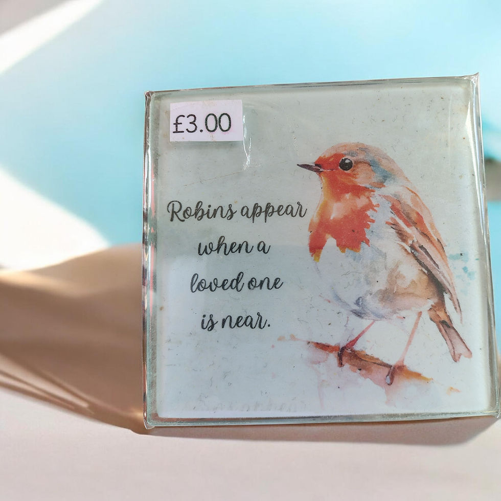 Thumbnail: Glass Coasters - Robin designs