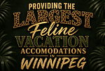 cat-boarding-kennel-winnipeg