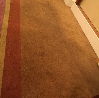 Cheap Professional Carpet Cleaners Bangkok