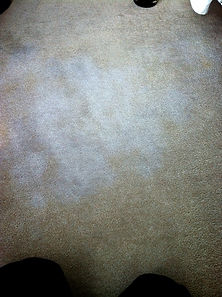 best industrial carpet cleaning company Bangkok.jpg