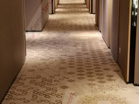 Wet vs. Dry - Dry Extraction Carpet Cleaning Bangkok. Methods: Choosing the Best for Your Carpets