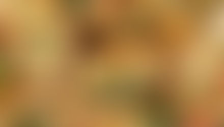 Flautas de pollo y Rajas