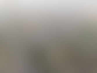 私たちに何ができるか。。。