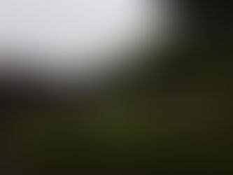 何ができるのか。。。