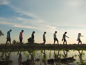 People walking along the planting site