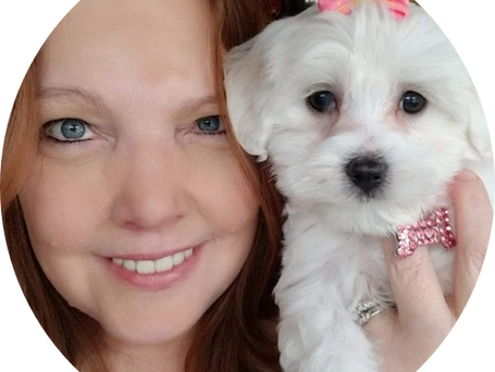 BUYING A PUPPY - Why purchase through a legitimate breeder? What are the benefits?