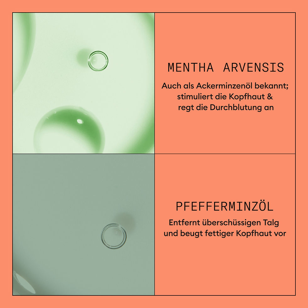 Miniaturbild: NIOXIN System 4 Conditioner 1 l