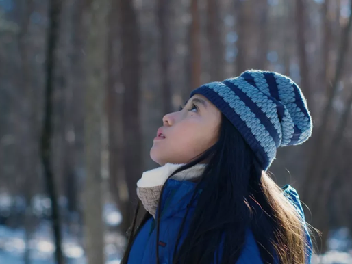 "O Mal Não Existe", Fascínio pelo Meio Ambiente e a Ameaça Capitalista
