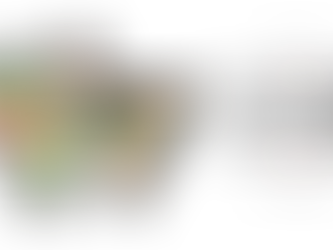 UCF: Birria Tacos | Cancun Restaurant