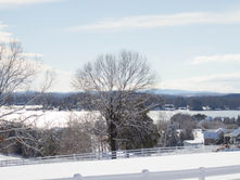 on snow