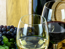 Fables and Feathers Winery