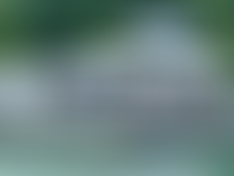 Parrot Cove Houseboat Rentals