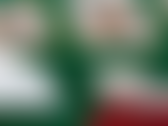 A Guide to Smith Mountain Lake Poker