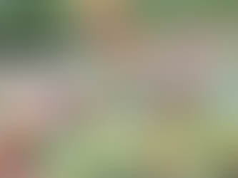 A Guide to Area U-Pick Apple Orchards