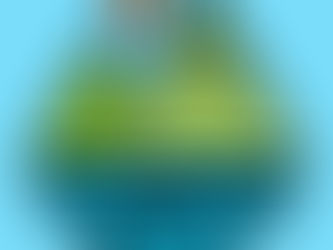 The SML+ App | Tim Barr