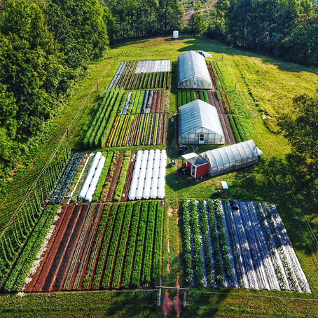 Wild Hare Farm | Organic Produce at Smith Mountain Lake