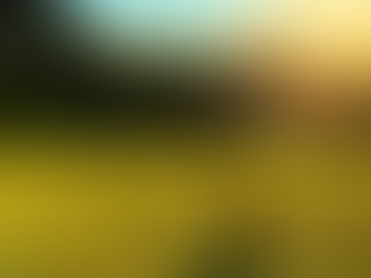 Chicken First Aid Kit 101