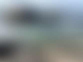 Getting Lost in a Tide Pool