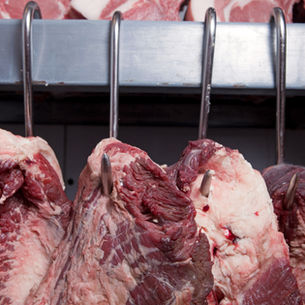 Eficiencia en el Frigorífico y la Industria Alimenticia