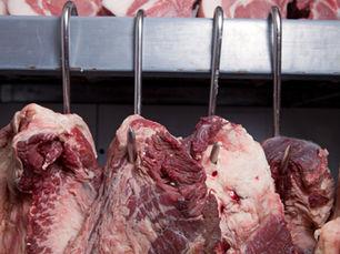 Eficiencia en el Frigorífico y la Industria Alimenticia