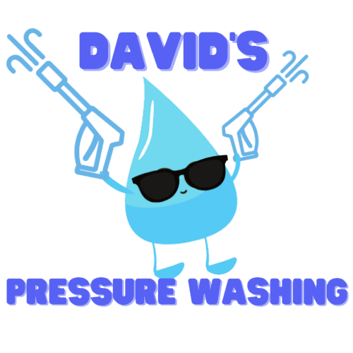 www.davidspw.com