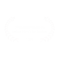 Wairoa Maori Film Festival.png