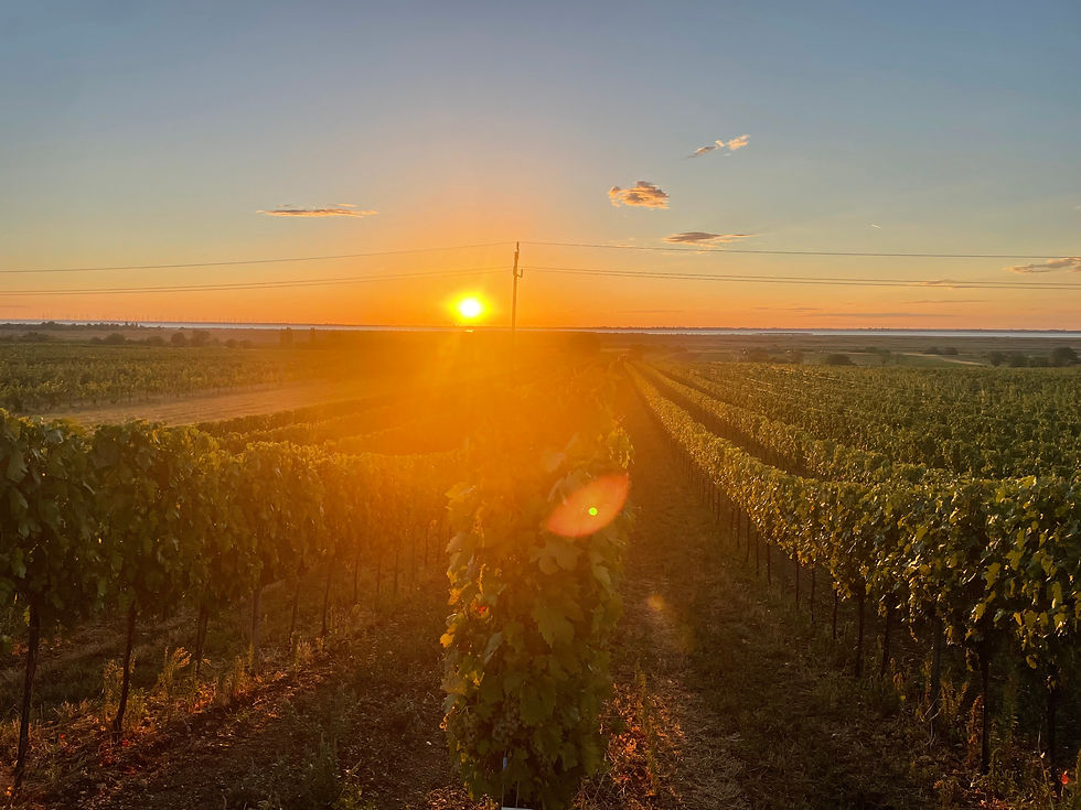 Satz bei Sonnenaufgang