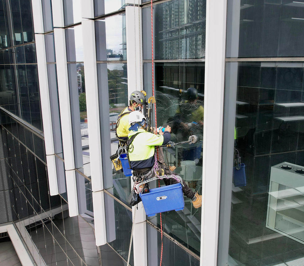 Looking for High Rise Window Cleaning in Sydney? Discover the #1 Rated Team Near You