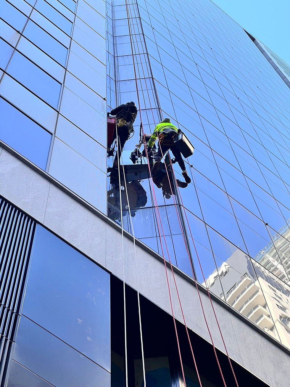 high rise window cleaning sydney: Two workers in safety gear clean windows on a tall glass building using red ropes. Reflective surface shows nearby structures under a clear sky.