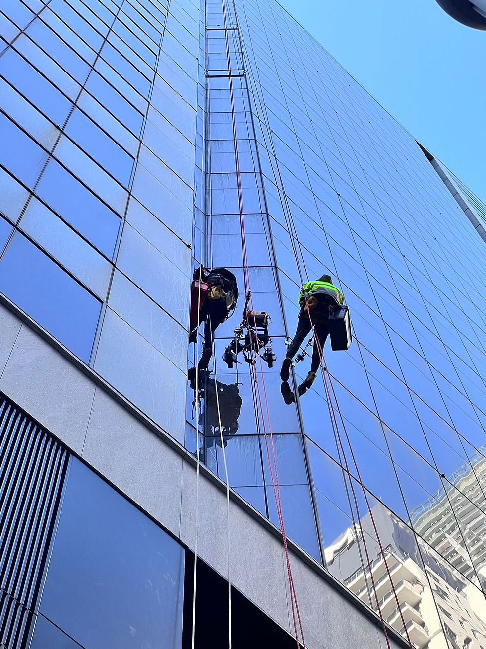 high rise window cleaning sydney- Two workers in safety gear clean windows on a tall glass building. Ropes and a clear blue sky are visible, creating an industrious mood.