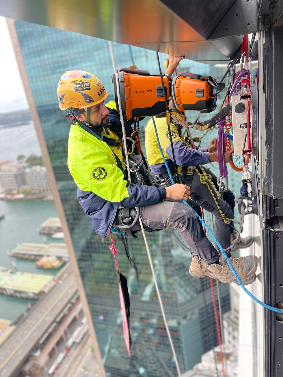 Should I tip my window cleaner in Sydney?
