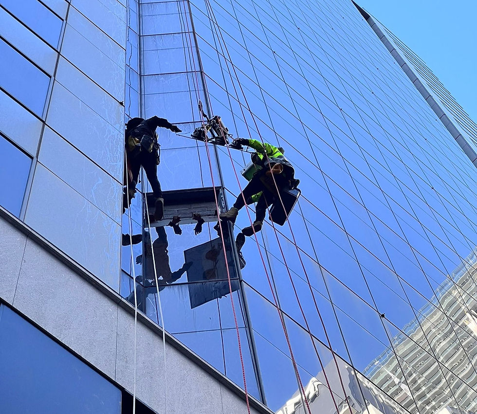 window cleaner- Two workers in harnesses clean a tall building's glass facade, reflecting the blue sky. One wears a green jacket, and they use ropes.