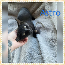 ASTRO.jpg