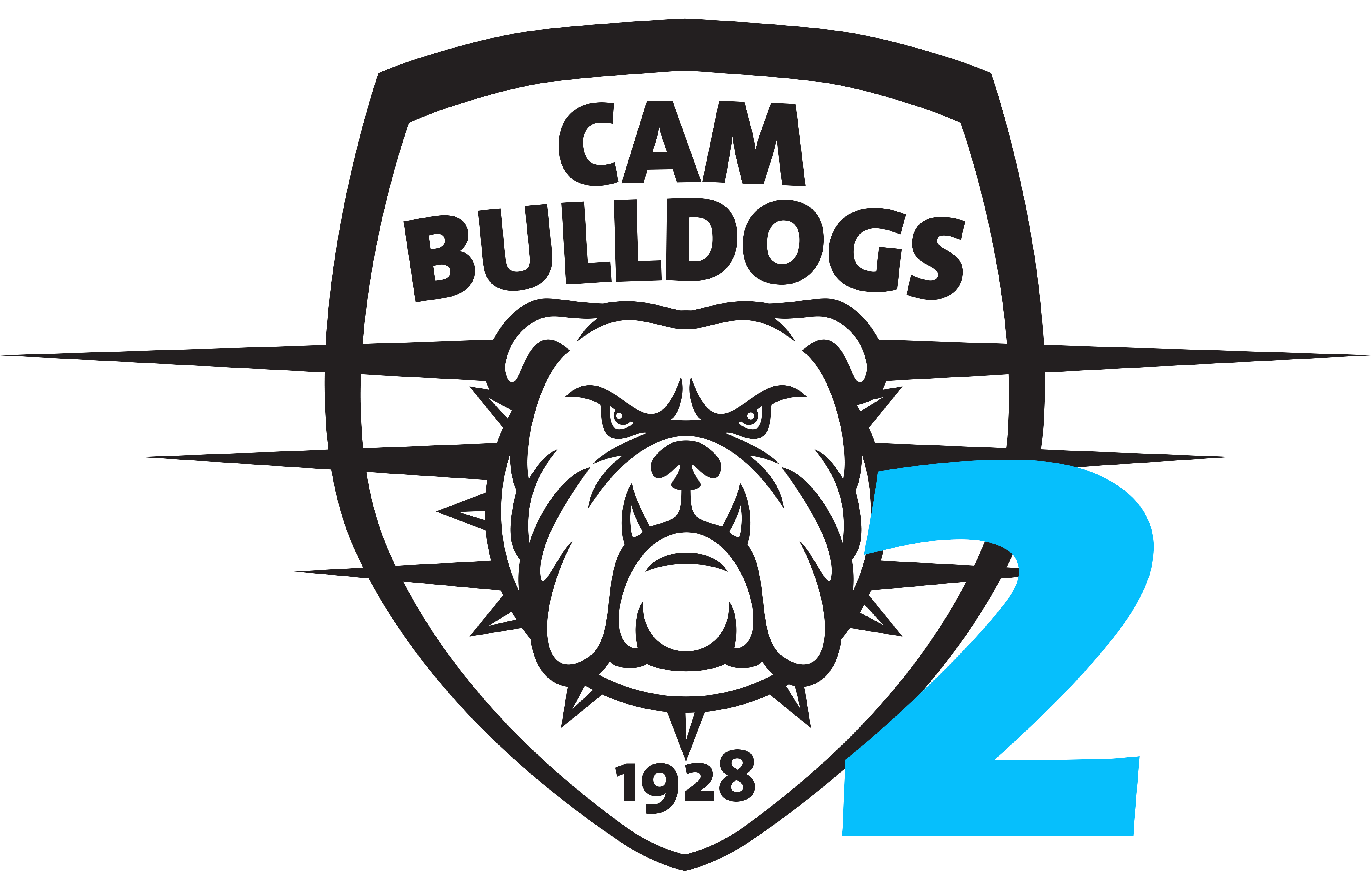 Reserves-Badge.gif