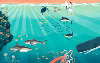 Ocean Biome Spread.jpg