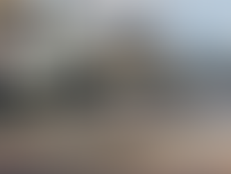 Ônibus é destruído por incêndio na MG-133, na Zona da Mata